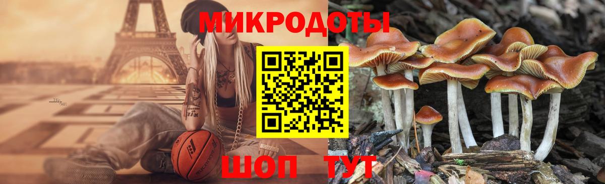 купить наркоту  Галлюциногенные грибы прущие грибы  Горячий Ключ  Вход с VPN  Псилоцибиновые грибы GOLDEN TEACHER 