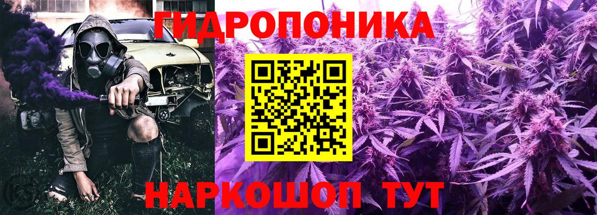 Конопля OG Kush Горячий Ключ